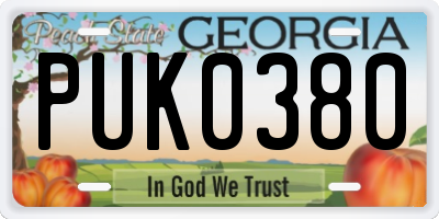 GA license plate PUK0380