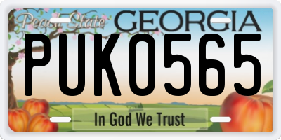 GA license plate PUK0565