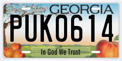 GA license plate PUK0614