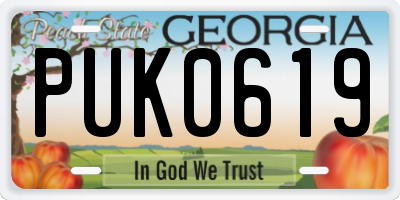 GA license plate PUK0619