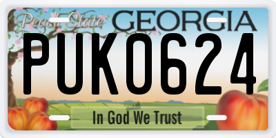 GA license plate PUK0624