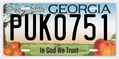GA license plate PUK0751