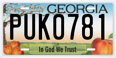 GA license plate PUK0781