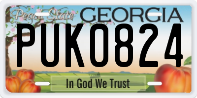 GA license plate PUK0824