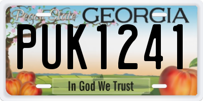 GA license plate PUK1241