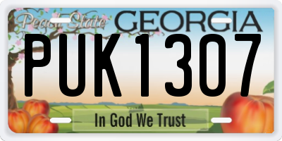 GA license plate PUK1307