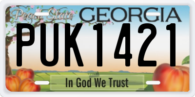 GA license plate PUK1421