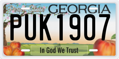 GA license plate PUK1907