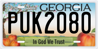 GA license plate PUK2080