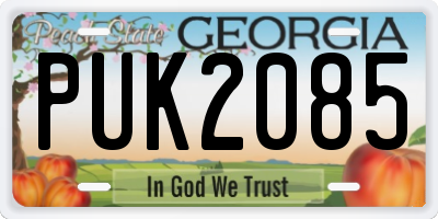 GA license plate PUK2085