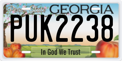 GA license plate PUK2238