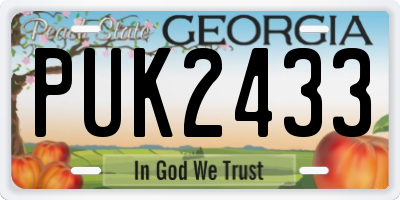 GA license plate PUK2433