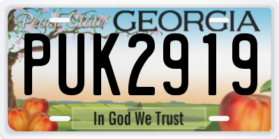 GA license plate PUK2919