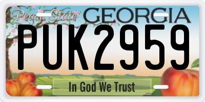 GA license plate PUK2959