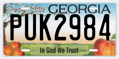 GA license plate PUK2984