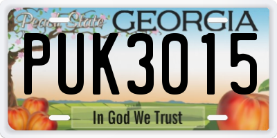 GA license plate PUK3015