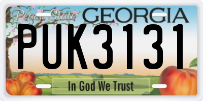GA license plate PUK3131