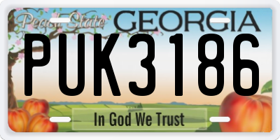 GA license plate PUK3186