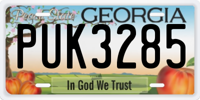 GA license plate PUK3285