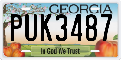 GA license plate PUK3487