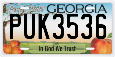 GA license plate PUK3536