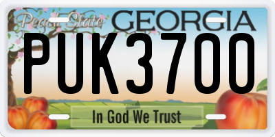 GA license plate PUK3700