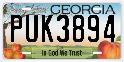 GA license plate PUK3894