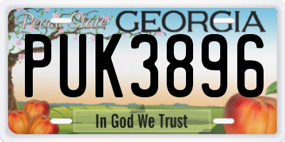 GA license plate PUK3896