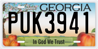 GA license plate PUK3941