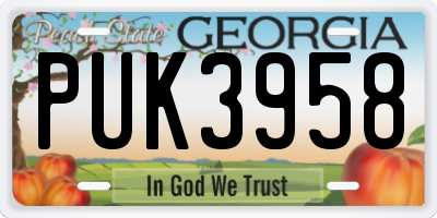 GA license plate PUK3958