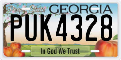 GA license plate PUK4328