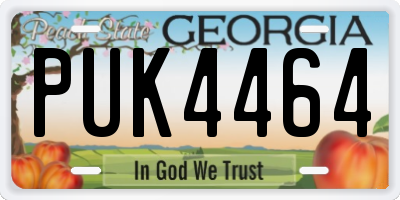 GA license plate PUK4464