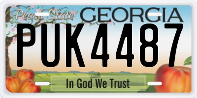 GA license plate PUK4487