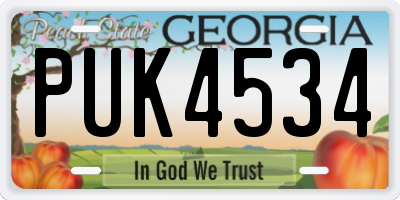 GA license plate PUK4534