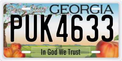 GA license plate PUK4633