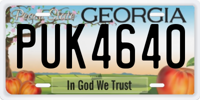 GA license plate PUK4640