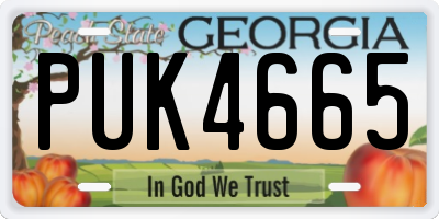 GA license plate PUK4665