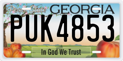 GA license plate PUK4853