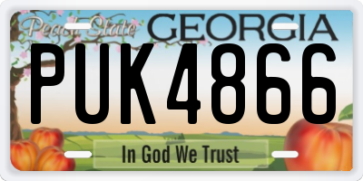 GA license plate PUK4866