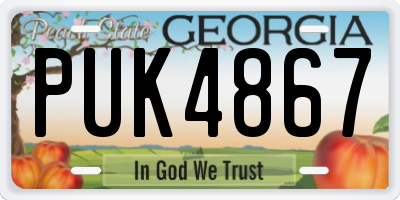 GA license plate PUK4867