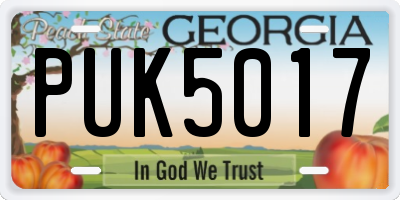 GA license plate PUK5017