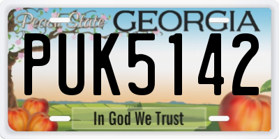 GA license plate PUK5142
