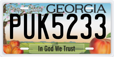 GA license plate PUK5233