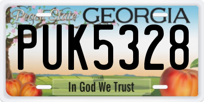 GA license plate PUK5328