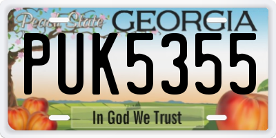 GA license plate PUK5355