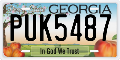 GA license plate PUK5487