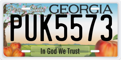 GA license plate PUK5573