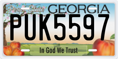 GA license plate PUK5597