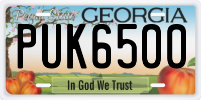 GA license plate PUK6500
