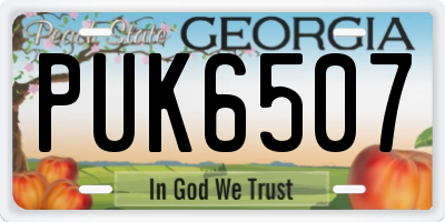 GA license plate PUK6507
